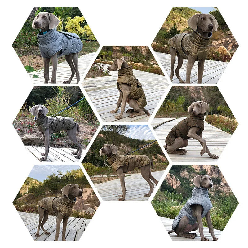 Warm Turtleneck Dog Clothes Winter Thick Reflective Snowsuit Coat Pet Jacket for Large Breed Whippet Greyhound Parka Clothing
