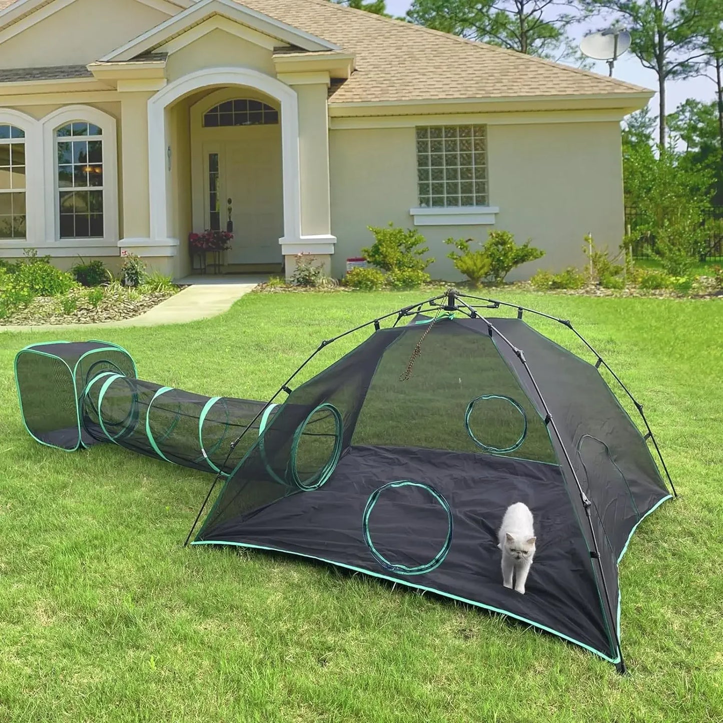 6-in-1 Outdoor Cat Play Tents and Tunnels - Portable Cat Enclosures and Playpen With 3 Tents and 3 Tunnels Things for Cats Toys