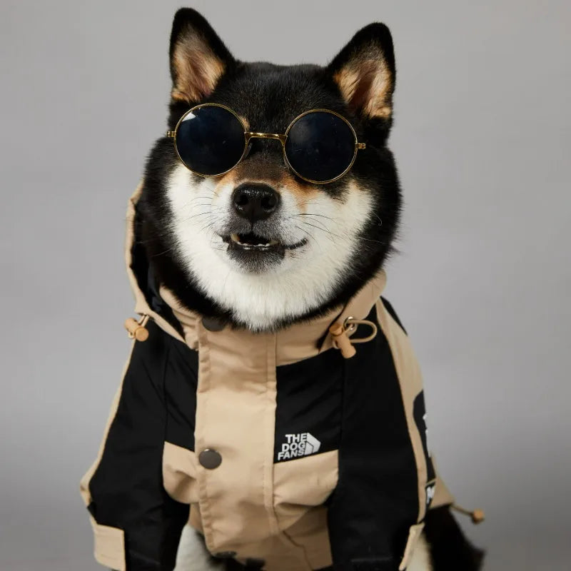 Dog clothes raincoat dog windbreaker windbreaker hood French bulldog hoodie dog clothes jacket