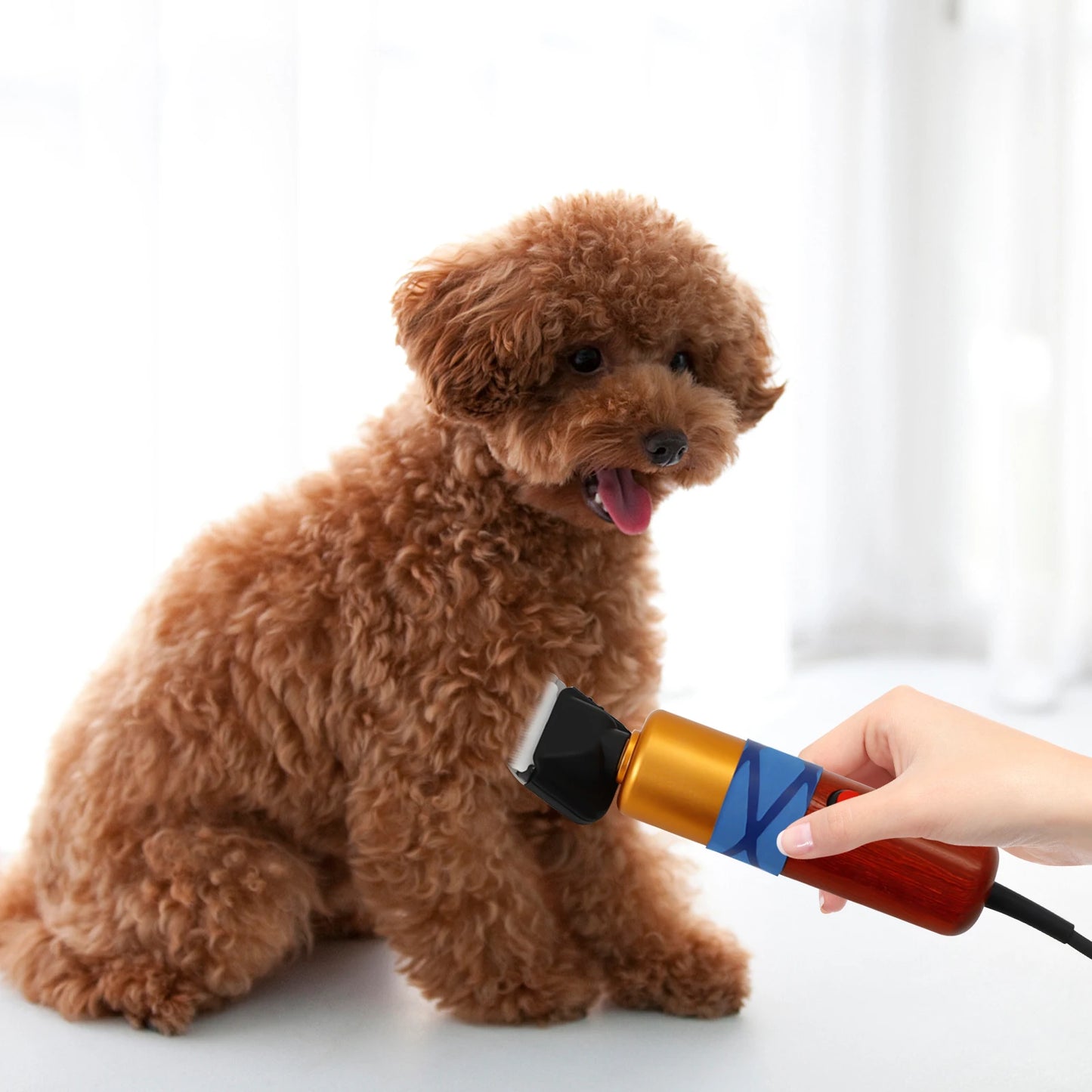 220V 36W Corded Electric Pet clippers 1000-6600rpm Speed Range for Shave Long-Haired of Cats and Dogs Nylon Steel Ceramics Blade