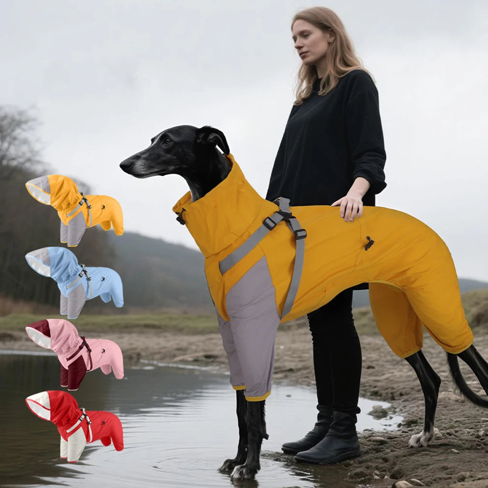 Detachable Dog Raincoat with Harness Waterproof Pet Rain Coats for Small Medium Dogs Greyhound Shepherd Beagle mascotas Overalls