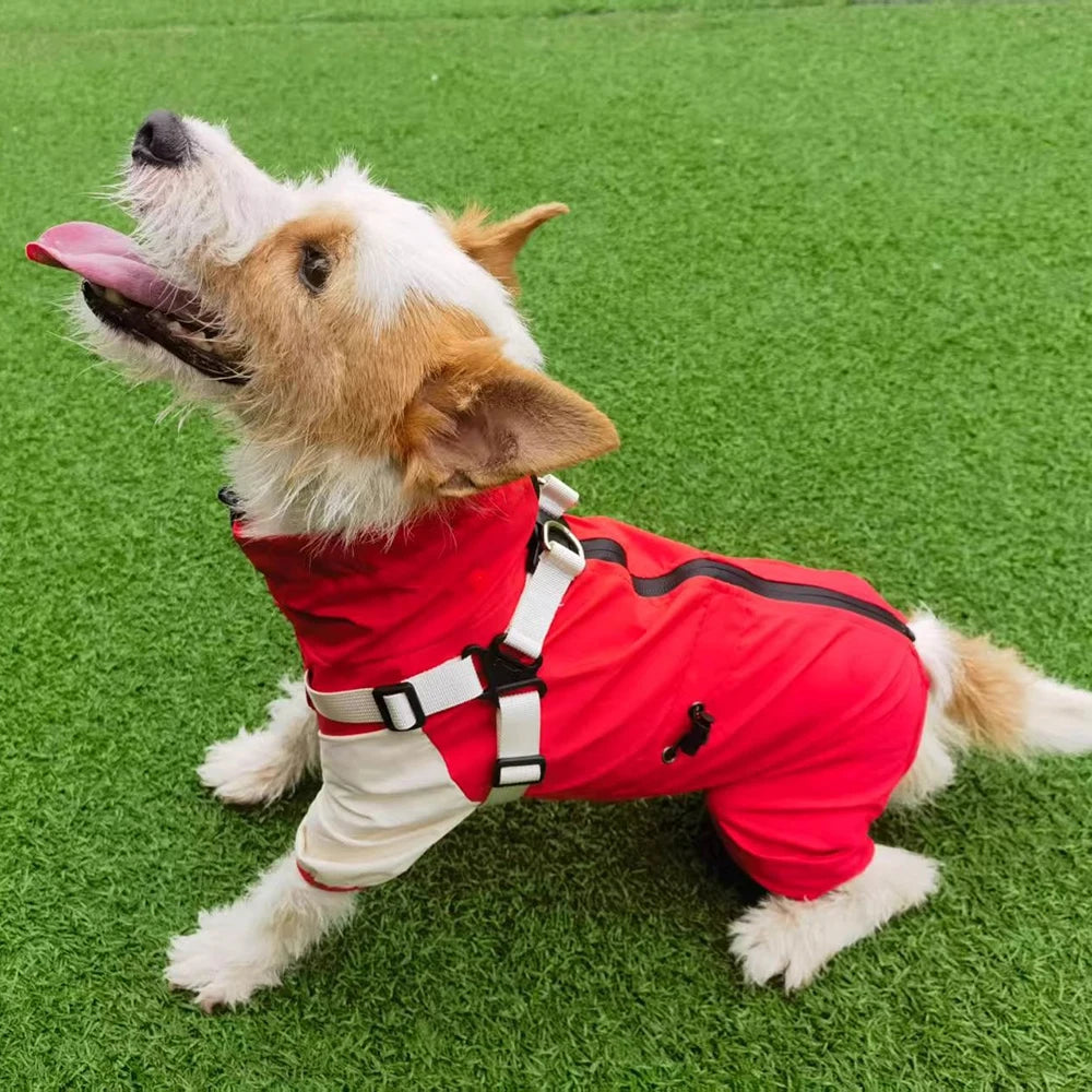 Detachable Dog Raincoat with Harness Waterproof Pet Rain Coats for Small Medium Dogs Greyhound Shepherd Beagle mascotas Overalls