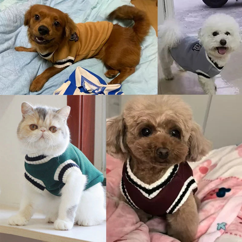 Pet Cat Solid Costume Autumn Winter Christmas Sweater College Style Dog Clothes Kitten Puppy Vest Clothes Kitty Jacket Outfits
