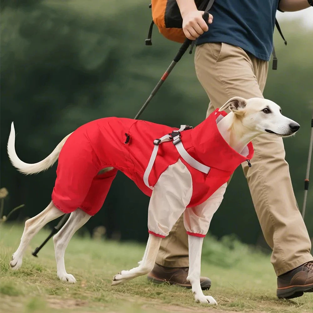 Detachable Dog Raincoat with Harness Waterproof Pet Rain Coats for Small Medium Dogs Greyhound Shepherd Beagle mascotas Overalls