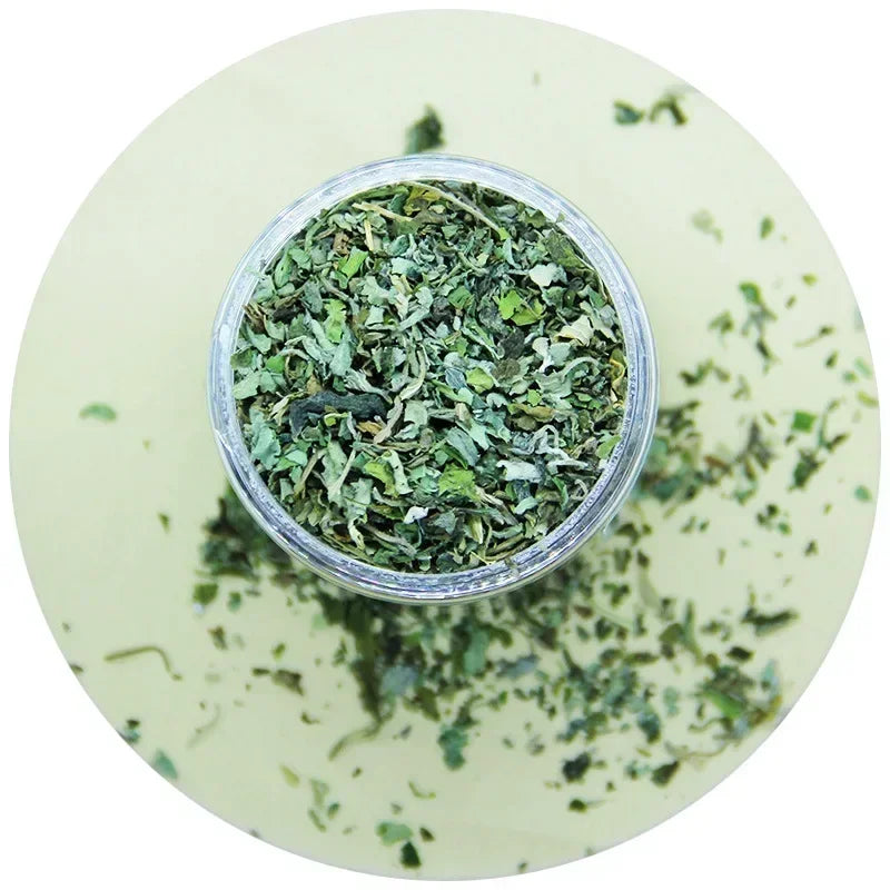 Organic 100% Natural High Quality Catnip Cattle Grass Mint Taste Funny Cat Toy New Cat Toy Interactive Cat Toys Pet Supplies Toy