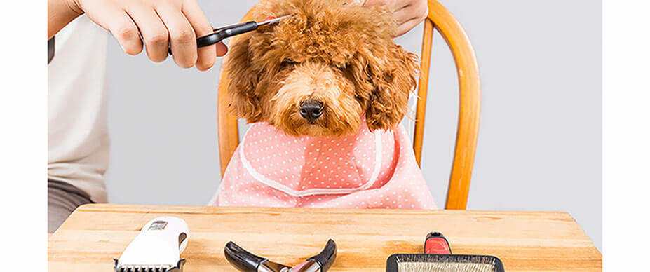 Grooming Supplies