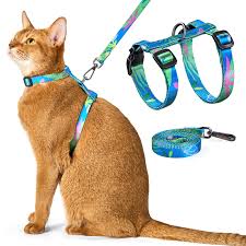 Cat Collars/Leashes