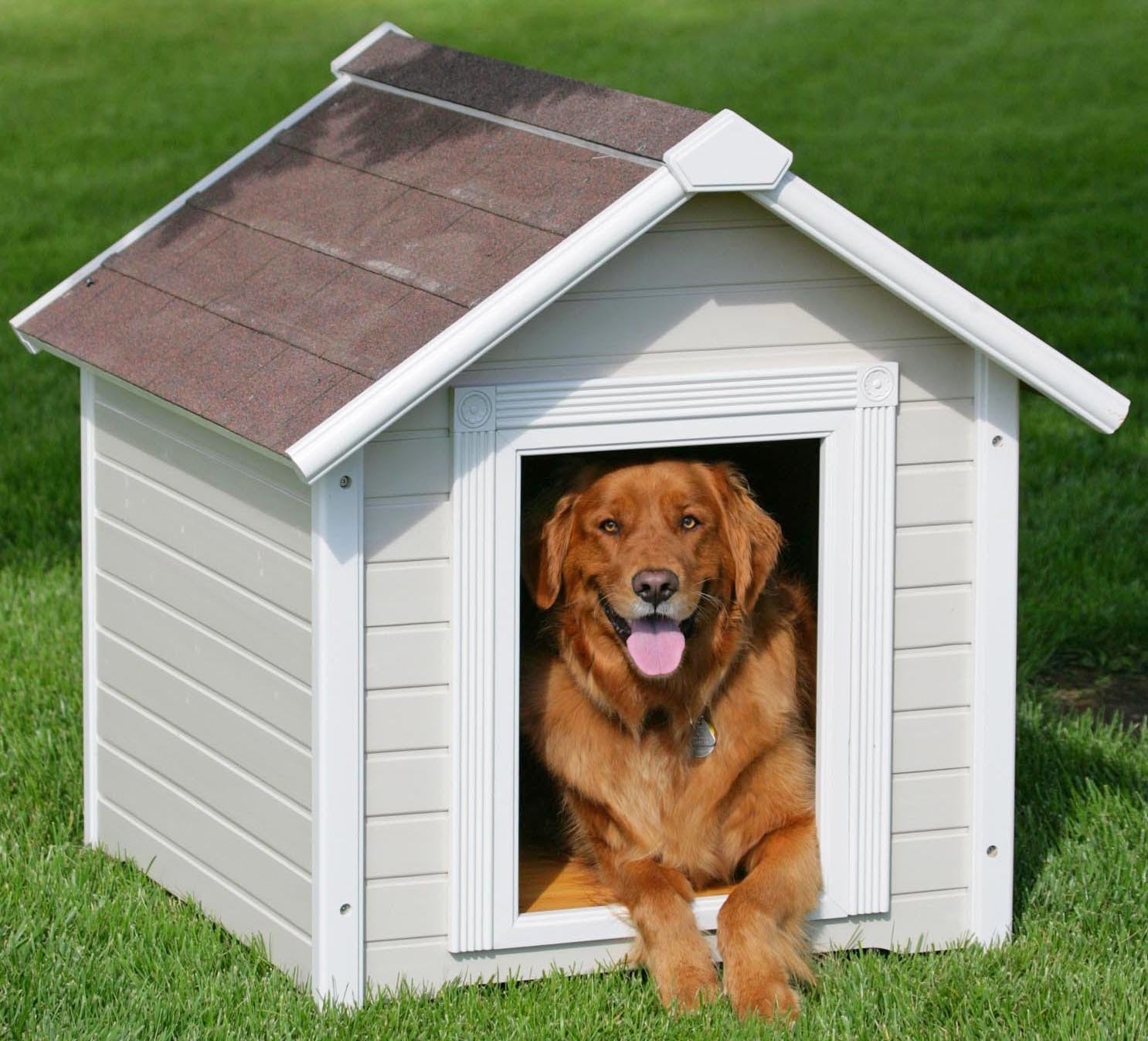 Pet Homes