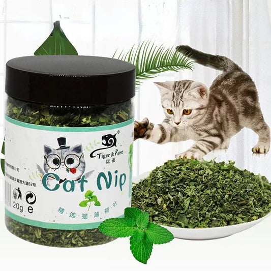 Organic 100% Natural High Quality Catnip Cattle Grass Mint Taste Funny Cat Toy New Cat Toy Interactive Cat Toys Pet Supplies Toy